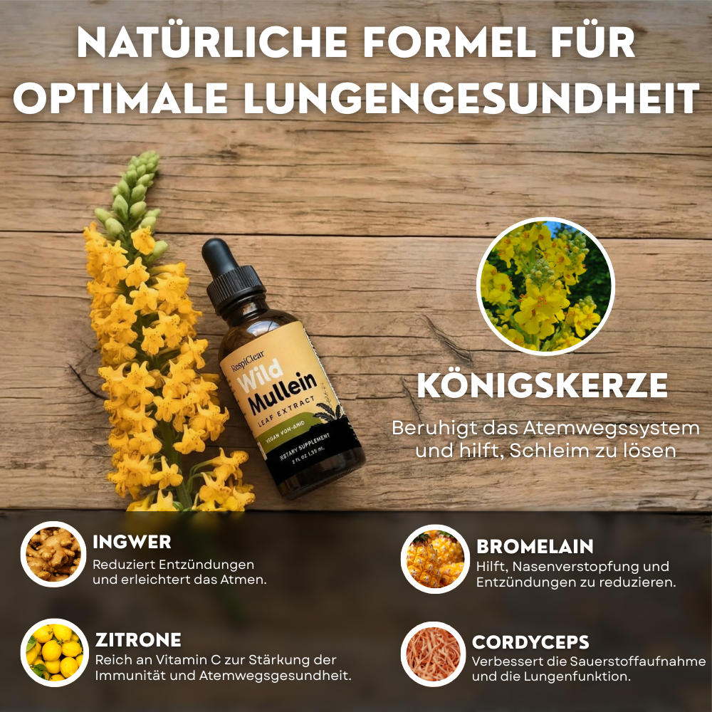 3-in-1 Lungen-Detox